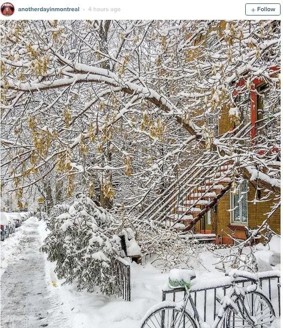 Drummond By Bouticstay Montréal Canada